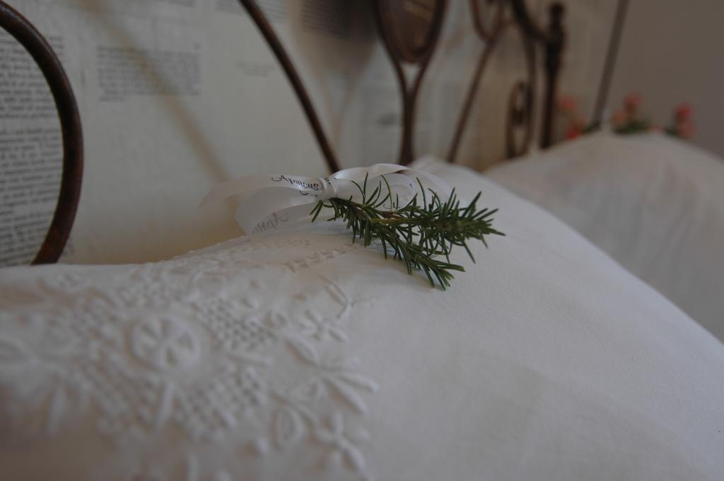 Apricus Boutique Apricale